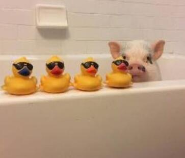 工業(yè)設(shè)計